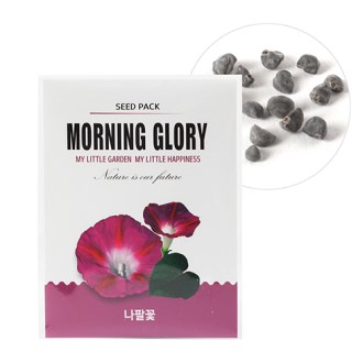 �̴� ������ ���� ����- ���Ȳ�