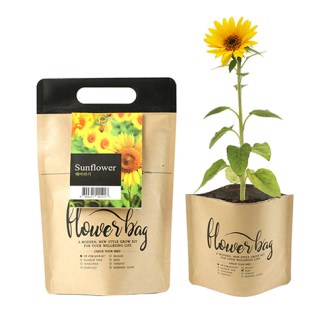 NEW �ö���� ���� ȭ�� ŰƮ- �عٶ��