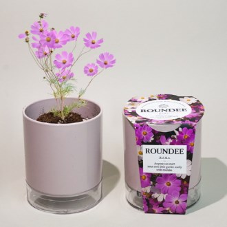 ���� ȭ�� ����-�ڽ���