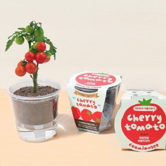 ������� �Ĺ�Ű���-����丶��