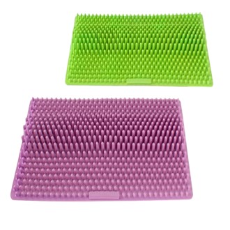 ���� ���и�Ʈ �������� �߹ٴ� ��Ʈ ���� // ����