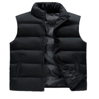 ���� �����̾� �������� �е����� ��������