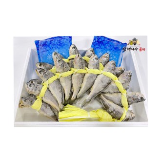 [������ ����] ��Ǳ��� 7ȣ 20�� (1.8kg / 19~20cm)