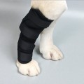 ������ �ٸ���ȣ�� (XL)